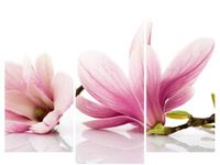 product-compare-58672351