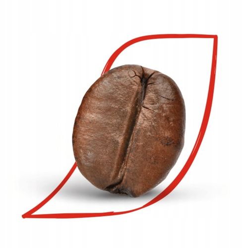 KAWA NESCAFE CLASSIC w saszetkach 100 x 2g na Arena.pl