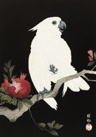 Plakat 70x100cm Cockatoo and Pomegranate 2, Koson Vintage do Salonu
