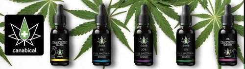 Olejek CBD Full Spectrum 3% 10 ml dla Kotka Kota od farmaceuty bezpieczny na Arena.pl