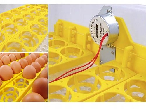 Kompletny zestaw INKUBATOR AUTOMATYCZNY DINO do 56 JAJ DROBIU Różne GATUNKI na Arena.pl