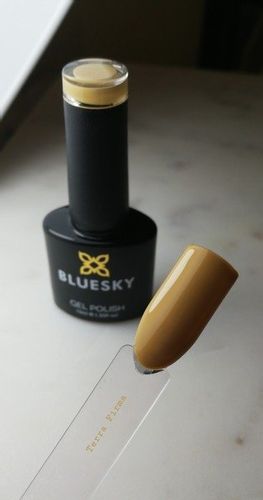 Bluesky Gel Polish AW 1802 - Terra Firma na Arena.pl