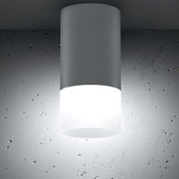 Sufitowa lampa spot 2273686 okrągła tuba downlight industrialny biały