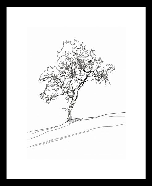 Plakat 15x20cm Drzewo w Zarysie zdjęcie 3