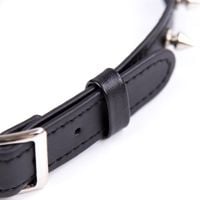 obroża z kolcami collar with spikes