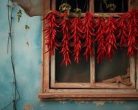 Plakat 50x40cm Szczypta Chilli