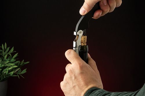 zestaw do wina berlinger haus bh-2000 na Arena.pl