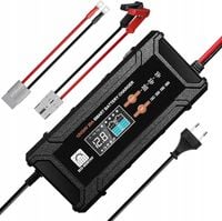 Ładowarka do akumulatorów litowych 12V/24V automatyczne wykrywanie napięcia