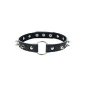 Adjustable Collar With Spikes