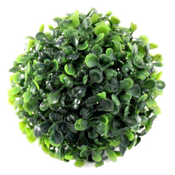 kula bukszpan 12cm | 20193 zdjęcie 1