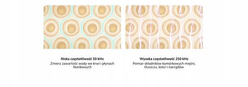 Inteligentna Waga Łazienkowa Xiaomi Body Composition Scale S400 na Arena.pl
