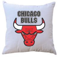 Poduszka z wkładem Chicago Bulls
