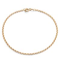 product-compare-62401594