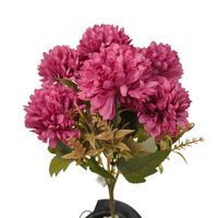 Bukiecik chryzantem x7 J23-34 brudny ciemny róż