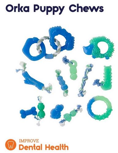 Petstages Grow With Me Ring PS68028 na Arena.pl