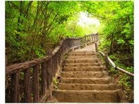 product-compare-58650411