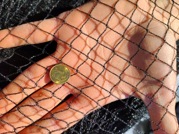 MOCNA SIATKA przeciw PTAKOM na BALKON na Drzewka Wolierę 7,5 x 7,5 m zdjęcie 8