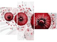 product-compare-58709725