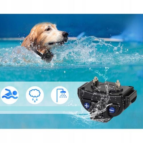 Obroża treningowa H883 na Arena.pl