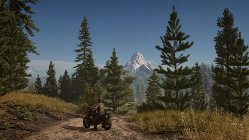 Gra PS4 Days Gone (Kompatybilna z PS5) na Arena.pl