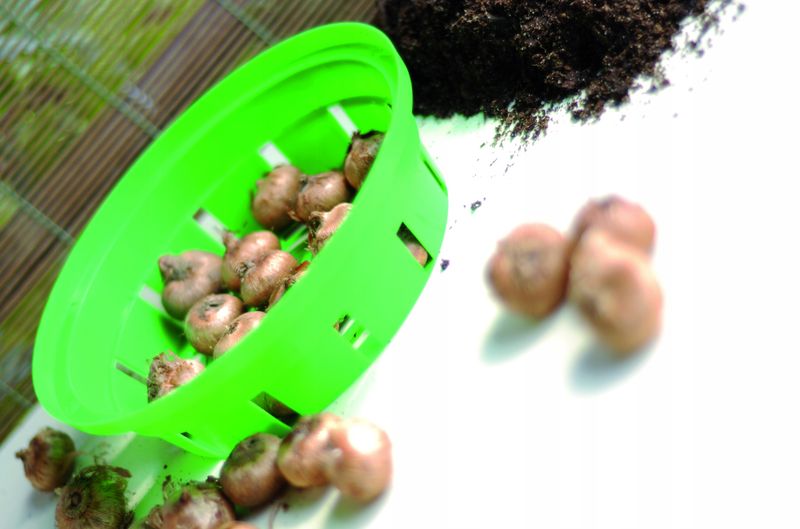 Koszyk na cebulki ONION 26 cm zdjęcie 2