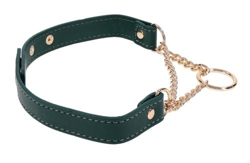 Day Collar na Arena.pl