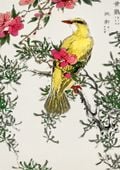 Plakat 21x29,7cm Chinese Bush-Warbler, Kashu Vintage do Salonu