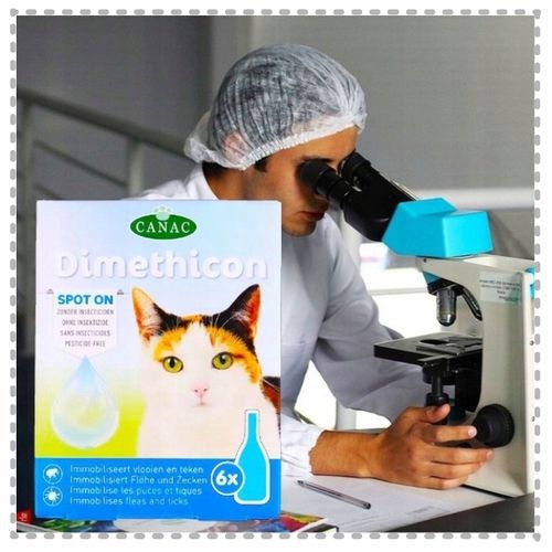 PREPARAT PRZECIW PCHŁOM I KLESZCZOM DLA KOTÓW NA KROPLE PCHŁY I KLESZCZE na Arena.pl