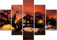 product-compare-58638878