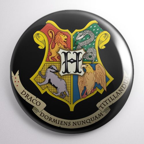 Przypinka Harry Potter na Arena.pl