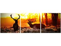 product-compare-58672400