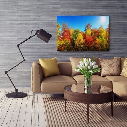 Obraz na płótnie - Canvas, Jesienne drzewa 40x30 na Arena.pl
