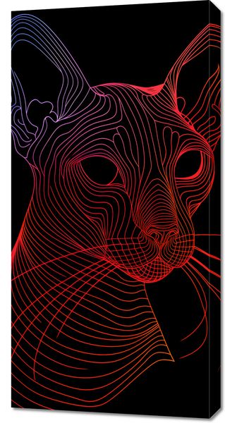 Obraz 50x100cm Cyfrowa Kocica zdjęcie 1