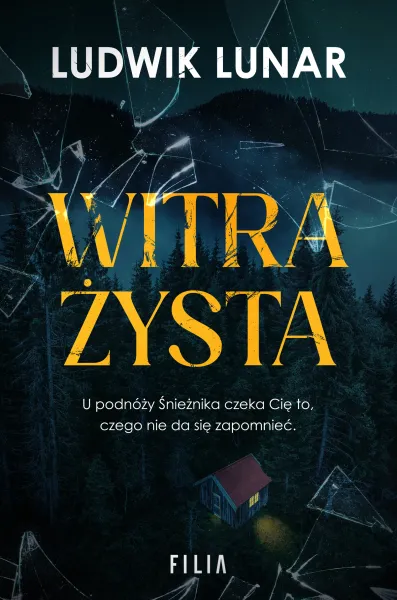 Witrażysta zdjęcie 1