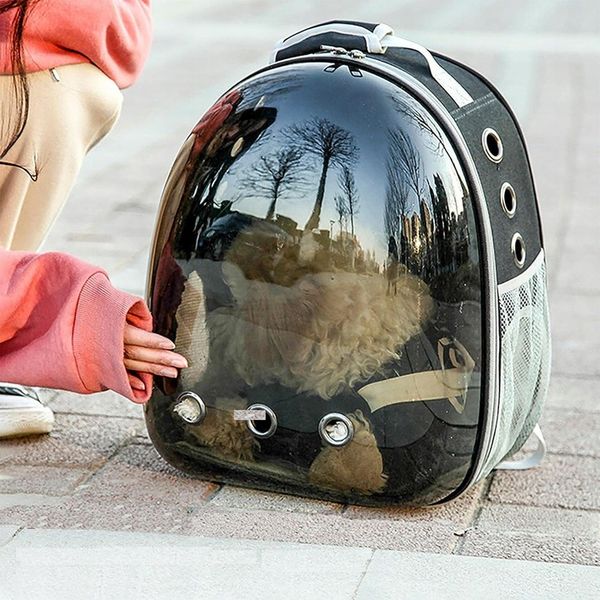 TRANSPORTER TORBA PLECAK KOTA PSA PRZEŹROCZYSTY zdjęcie 4