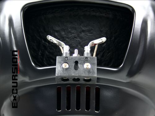 Subwoofer Excursion Głośnik 10'' 25cm 2x 2ohm 800W na Arena.pl