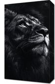Obraz 30x50cm Portret Zwierząt do Salonu Pokoju |  Lew | Czarno Białe