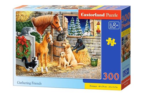 Puzzle 300 Elementów, Przyjaciele na Arena.pl