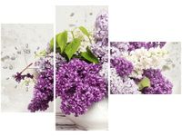 product-compare-58611746