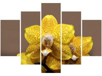 105CM 150CM OBRAZ 5 ELEM CYTRYNOWA ORCHIDEA DRUK