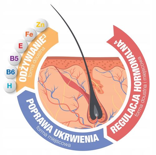 Complidermol 5alfa 60 kaps + lotion do włosów 30% taniej na Arena.pl