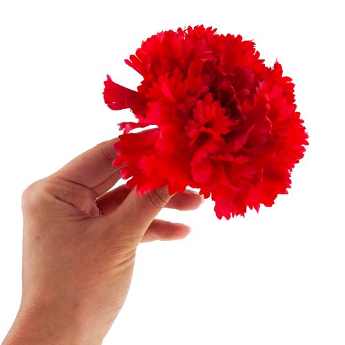 Goździk Wyrobowy Główka Sztuczne Kwiaty Jak Żywe Do Stroików Czerwony na Arena.pl