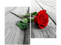 80X70CM RÓŻA DESKACH DUO OBRAZ