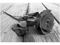 product-compare-58694132