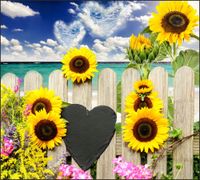 Tło do fotografii produktowej kulinarnej Flat Lay