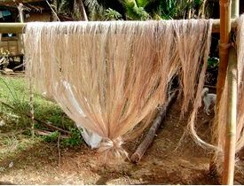 Filtr do kawy Cafec Abaca+Plus biały cup4 100 szt. na Arena.pl