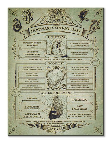 Harry Potter (Hogwarts School List)  - obraz na płótnie 60x80 cm zdjęcie 2