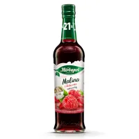Syrop MALINA Z DZIKĄ RÓŻĄ suplement diety 420ml