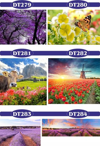 FOTOTAPETY 3d widoki wodospad most las drzewa na Arena.pl