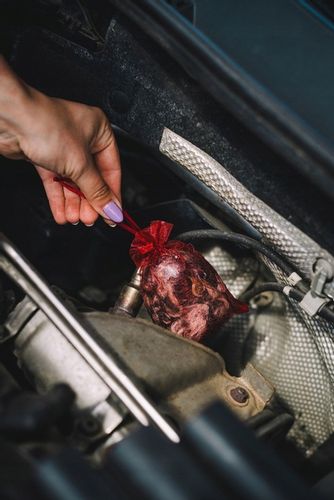 NATURALNY ODSTRASZACZ NA KUNY DO SAMOCHODU KUNAGONE PRZECIWKO KUNOM 4x1-PAK na Arena.pl